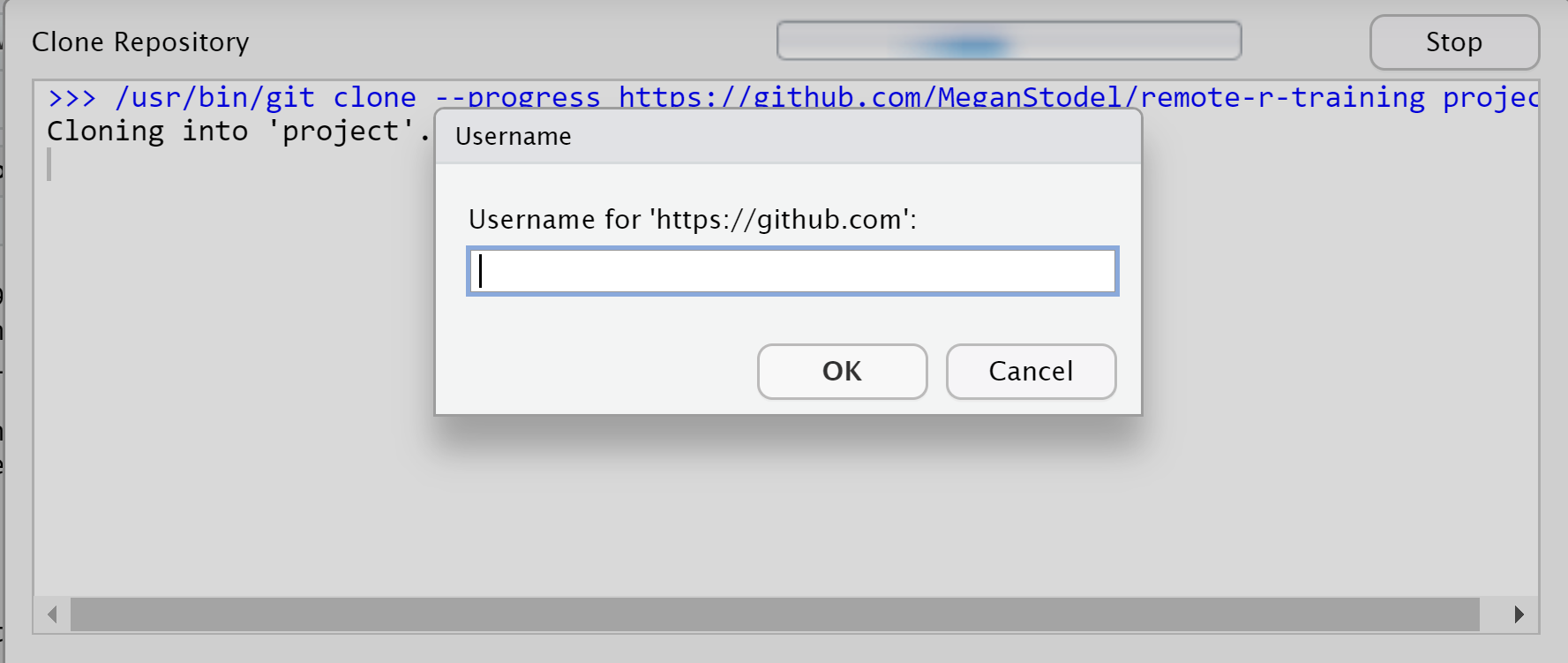 Screenshot of popup asking for GitHub password